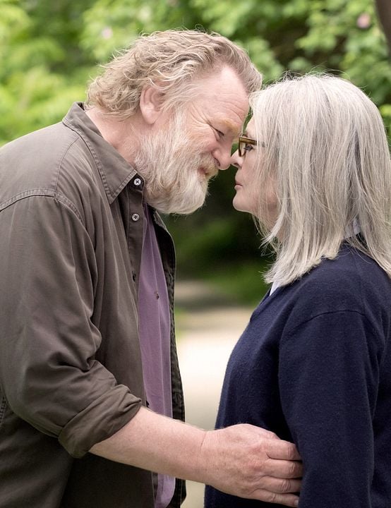 Una cita en el parque : Foto Brendan Gleeson, Diane Keaton