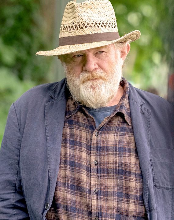 Una cita en el parque : Foto Brendan Gleeson