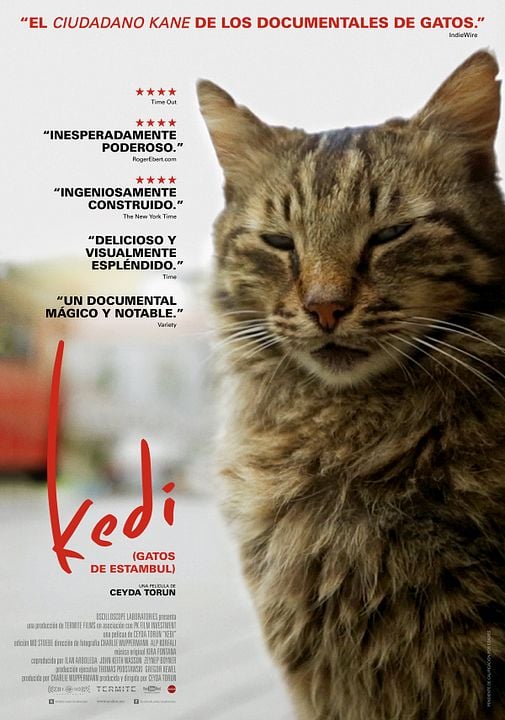 Kedi (Gatos de Estambul) : Póster