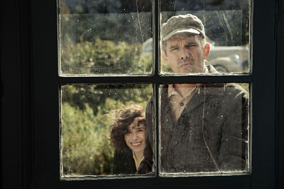 Maudie: El color de la vida : Foto Ethan Hawke
