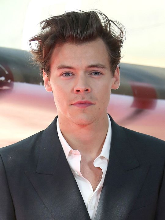 Póster Harry Styles