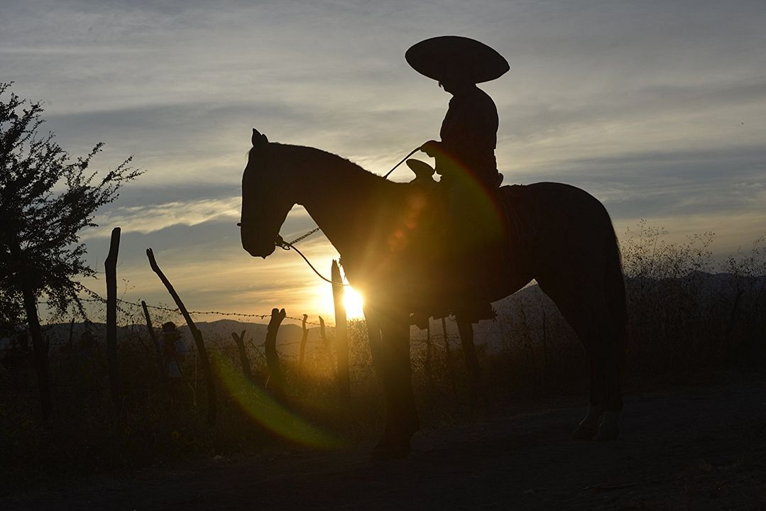 Los jinetes del tiempo : Foto
