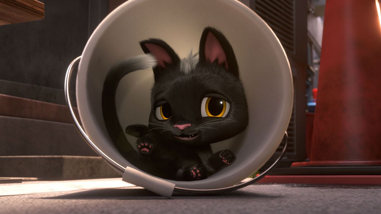 Gatos. Un viaje de vuelta a casa : Foto