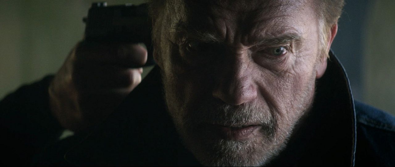 Una historia de venganza : Foto Arnold Schwarzenegger