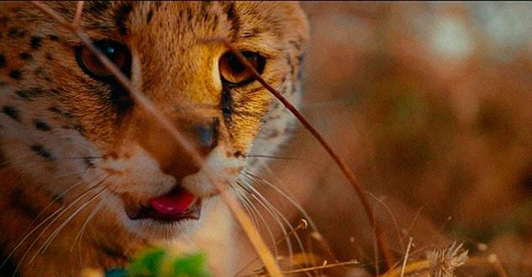 Un día maravilloso en la Tierra : Foto