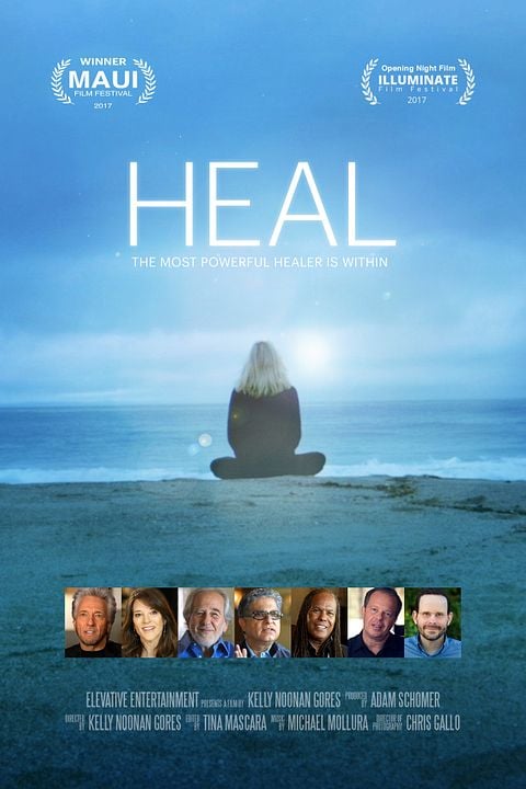 Heal : Póster