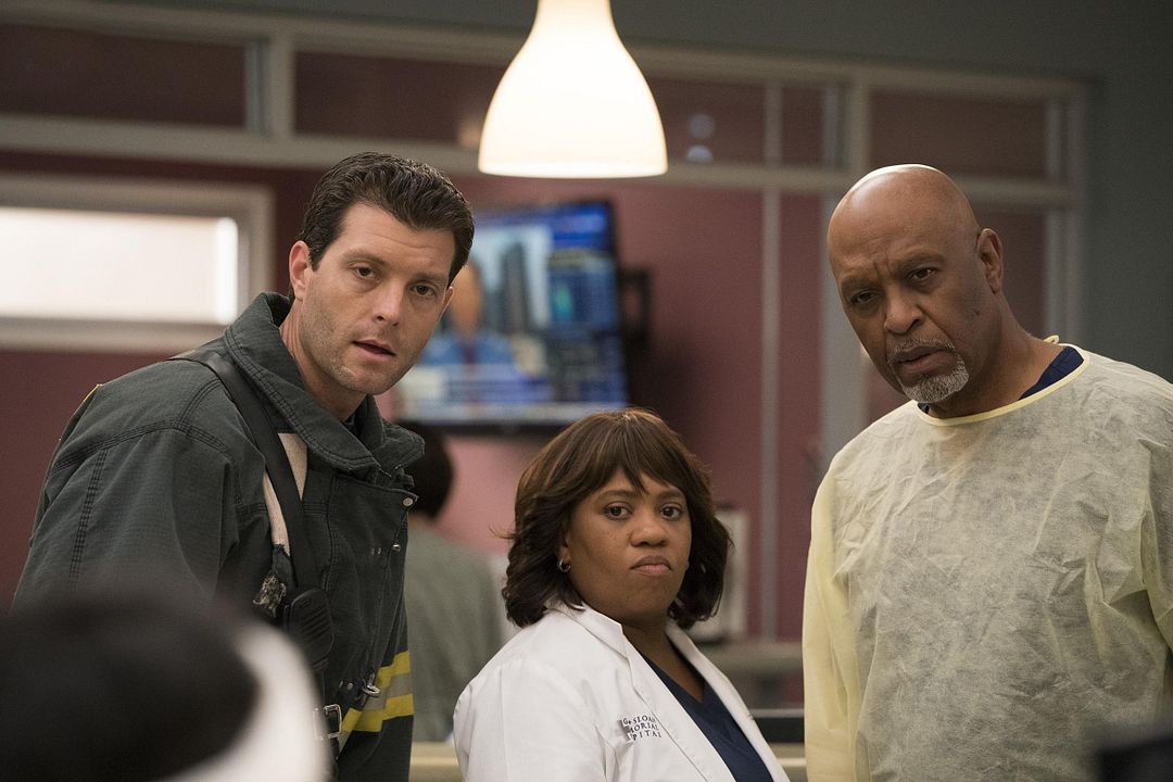 Grey's Anatomy : Foto Chandra Wilson, James Pickens Jr.