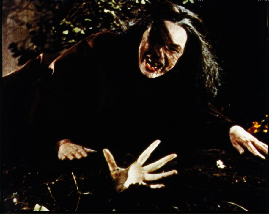 Las novias de Dracula : Foto