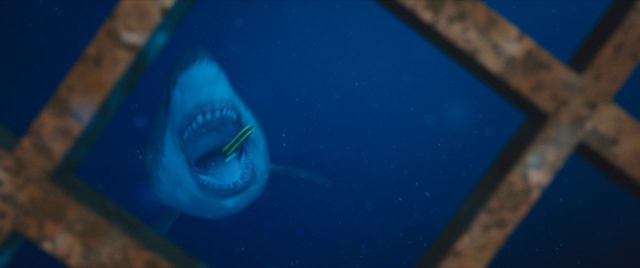 Terror a 47 metros : Foto