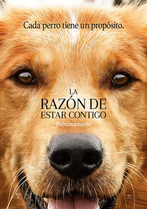 La razón de estar contigo : Póster