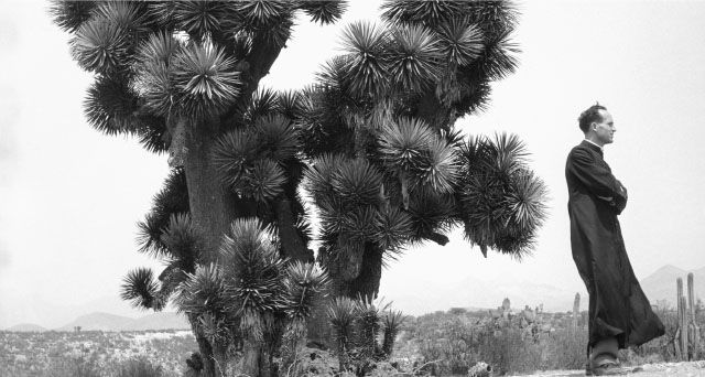 A morir a los desiertos : Foto