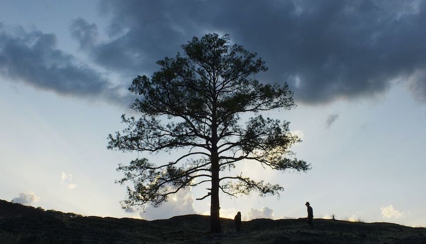 A morir a los desiertos : Foto