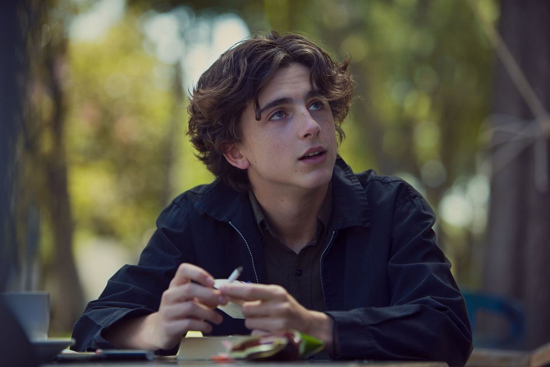 Lady Bird : Foto Timothée Chalamet