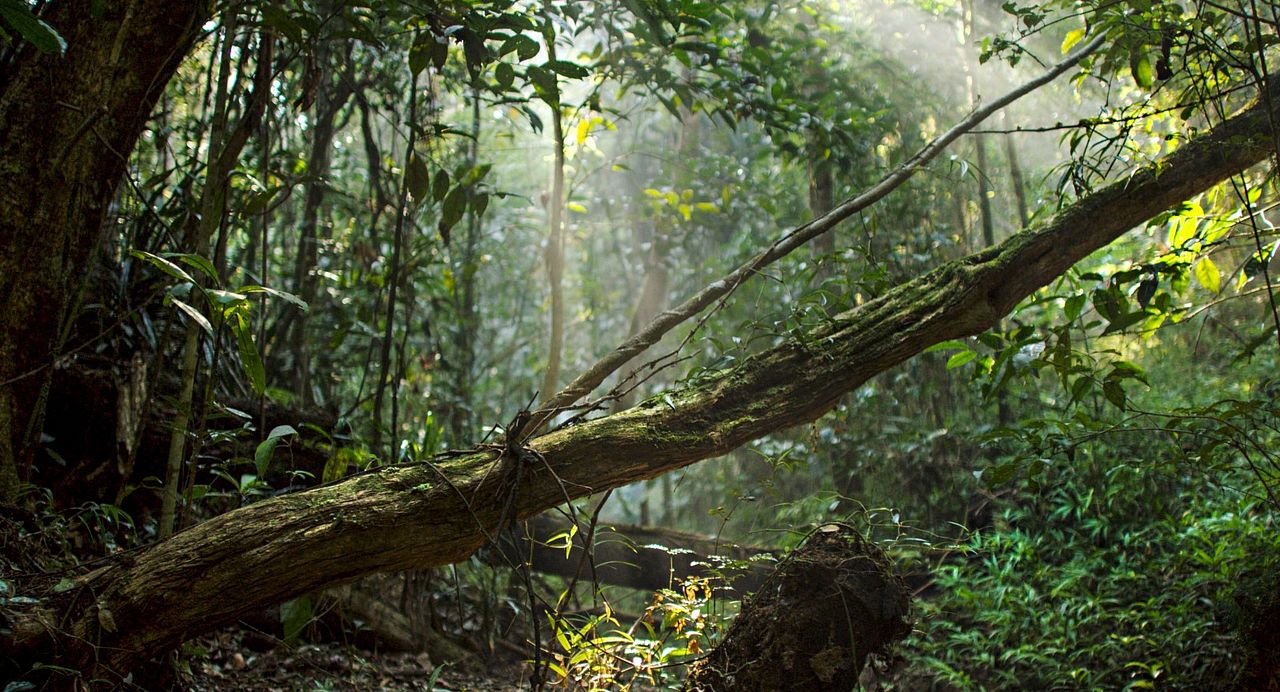 Un día maravilloso en la Tierra : Foto