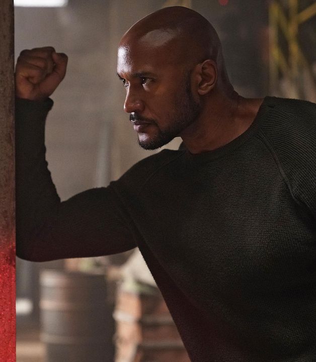 Agentes de S.H.I.E.L.D. : Foto Henry Simmons