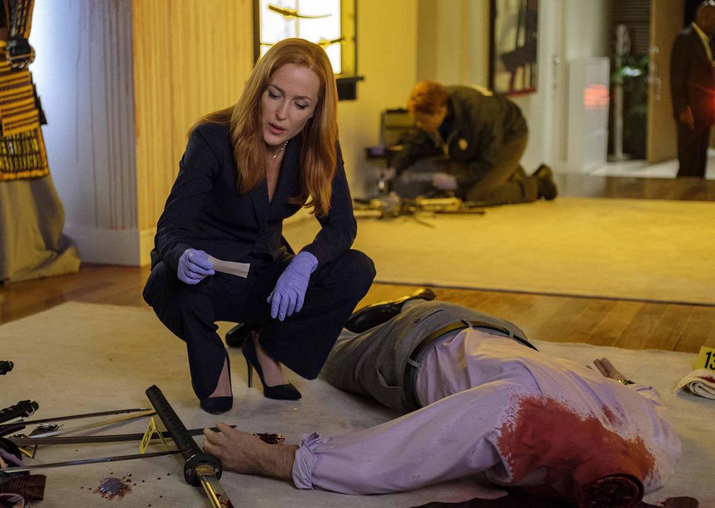 Los expedientes secretos X : Foto Gillian Anderson