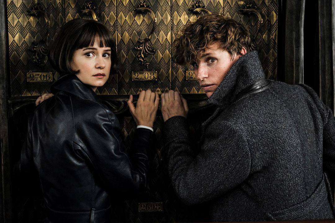 Animales fantásticos: Los crímenes de Grindelwald : Foto Katherine Waterston, Eddie Redmayne