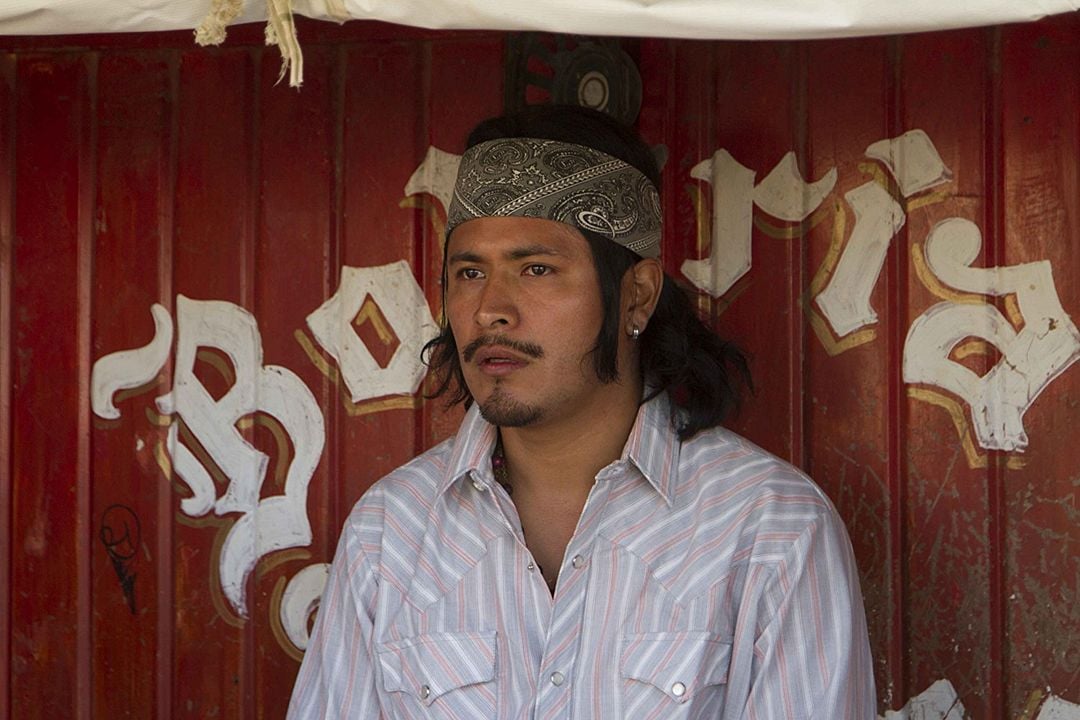 Run Coyote Run : Foto