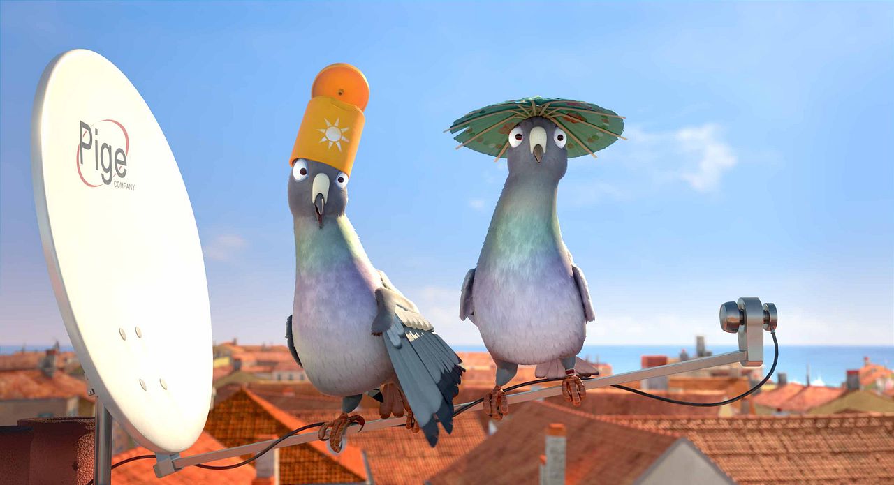 Una cigüeña en apuros : Foto