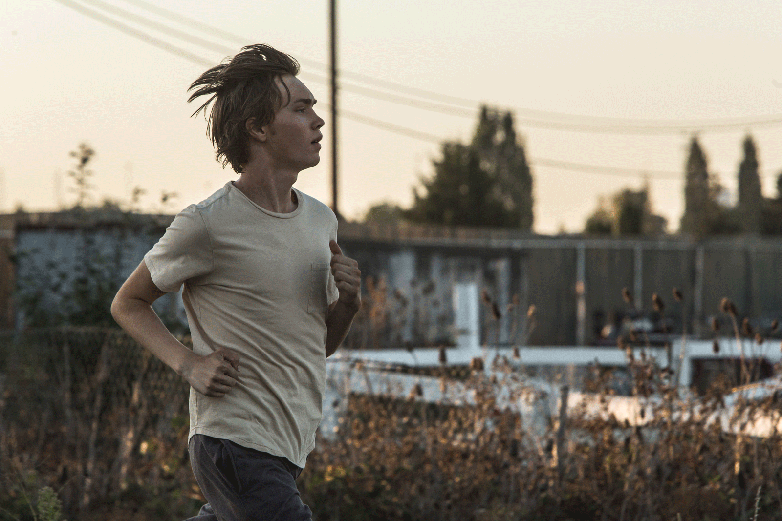 Apóyate en mí : Foto Charlie Plummer