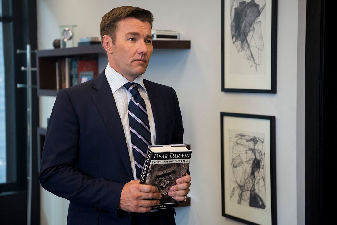 Gringo: Se busca vivo o muerto : Foto Joel Edgerton