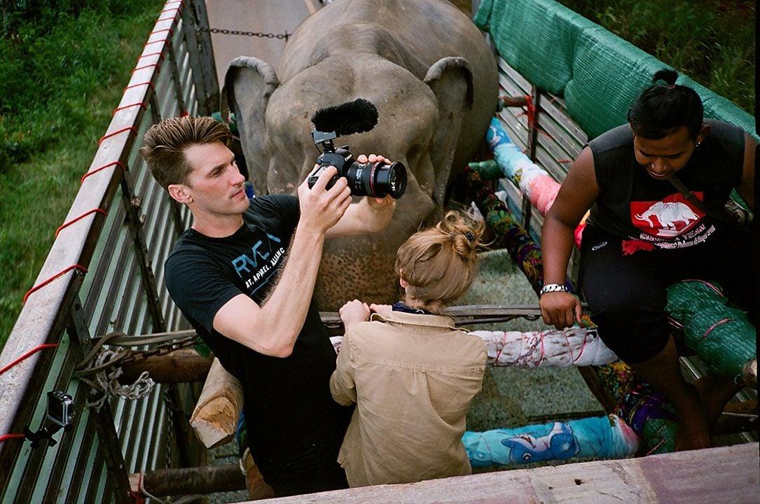 Love & Bananas: An Elephant Story : Foto