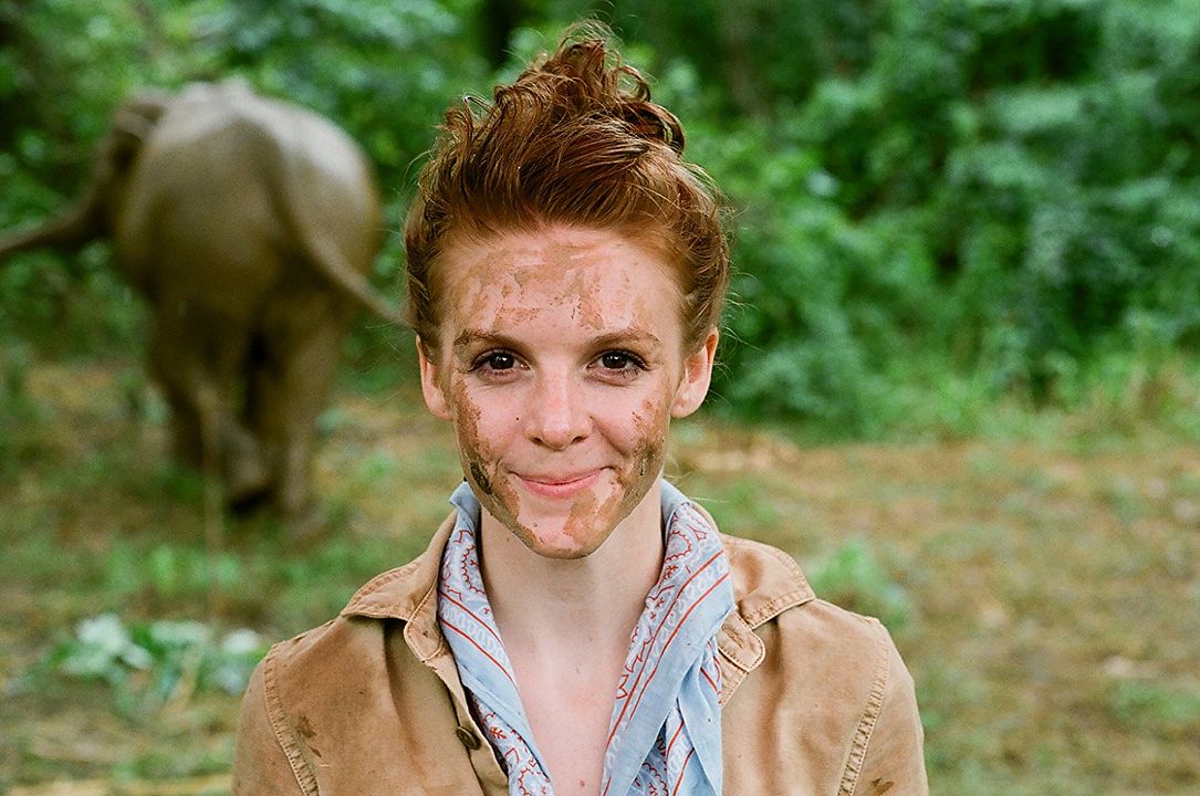 Love & Bananas: An Elephant Story : Foto