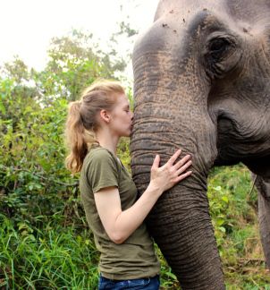 Love & Bananas: An Elephant Story : Foto