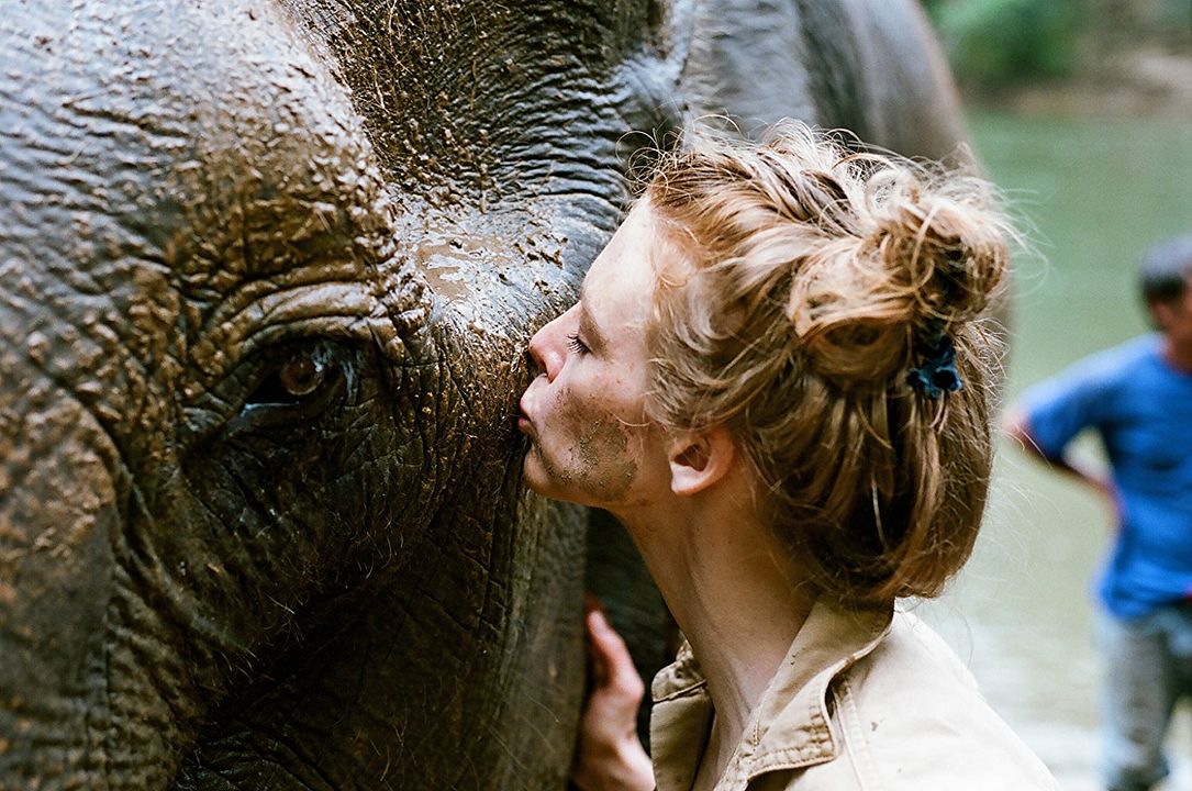 Love & Bananas: An Elephant Story : Foto