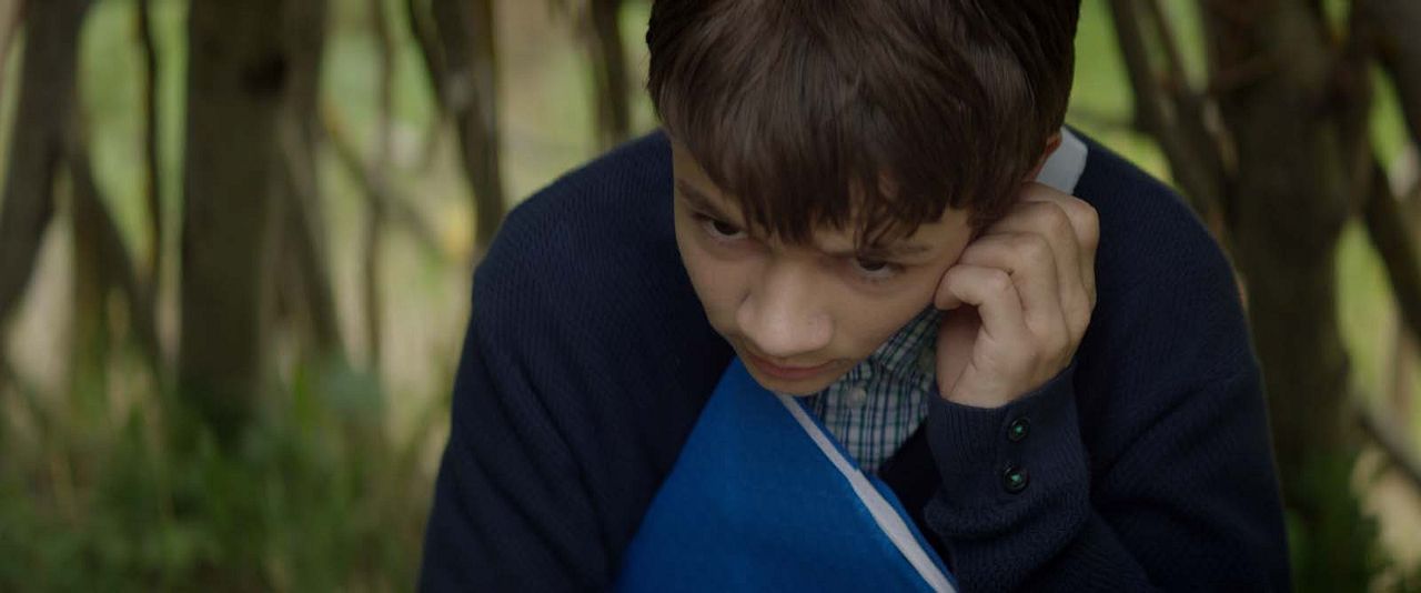 Señor sabelotodo : Foto Max Baissette de Malglaive