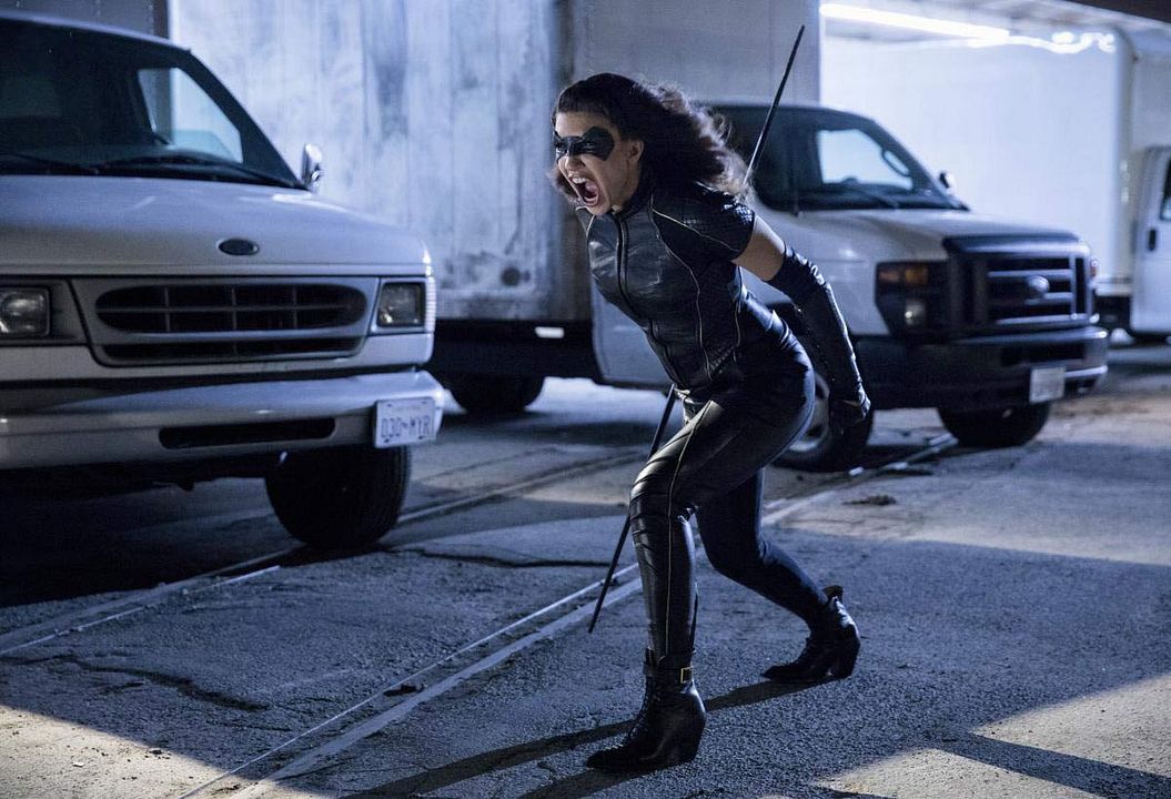 Arrow : Foto Juliana Harkavy