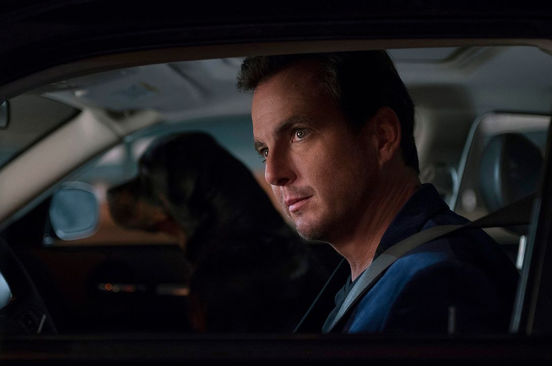 Show Dogs : Foto Will Arnett