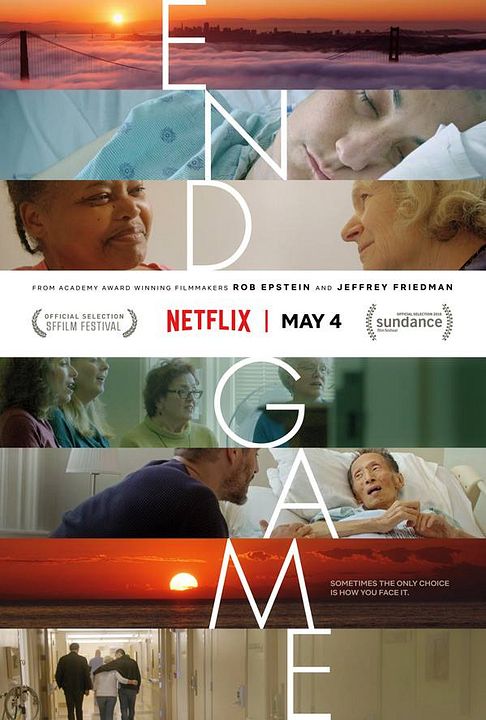 La partida final : Póster