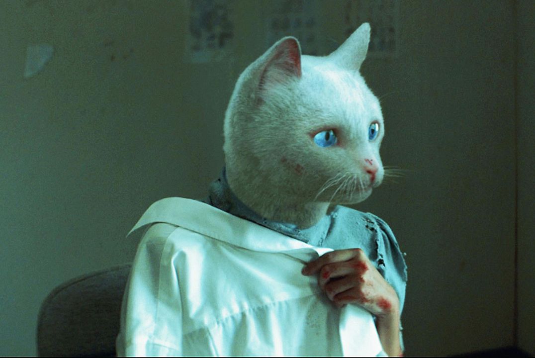 Ten Years in Thailand : Foto