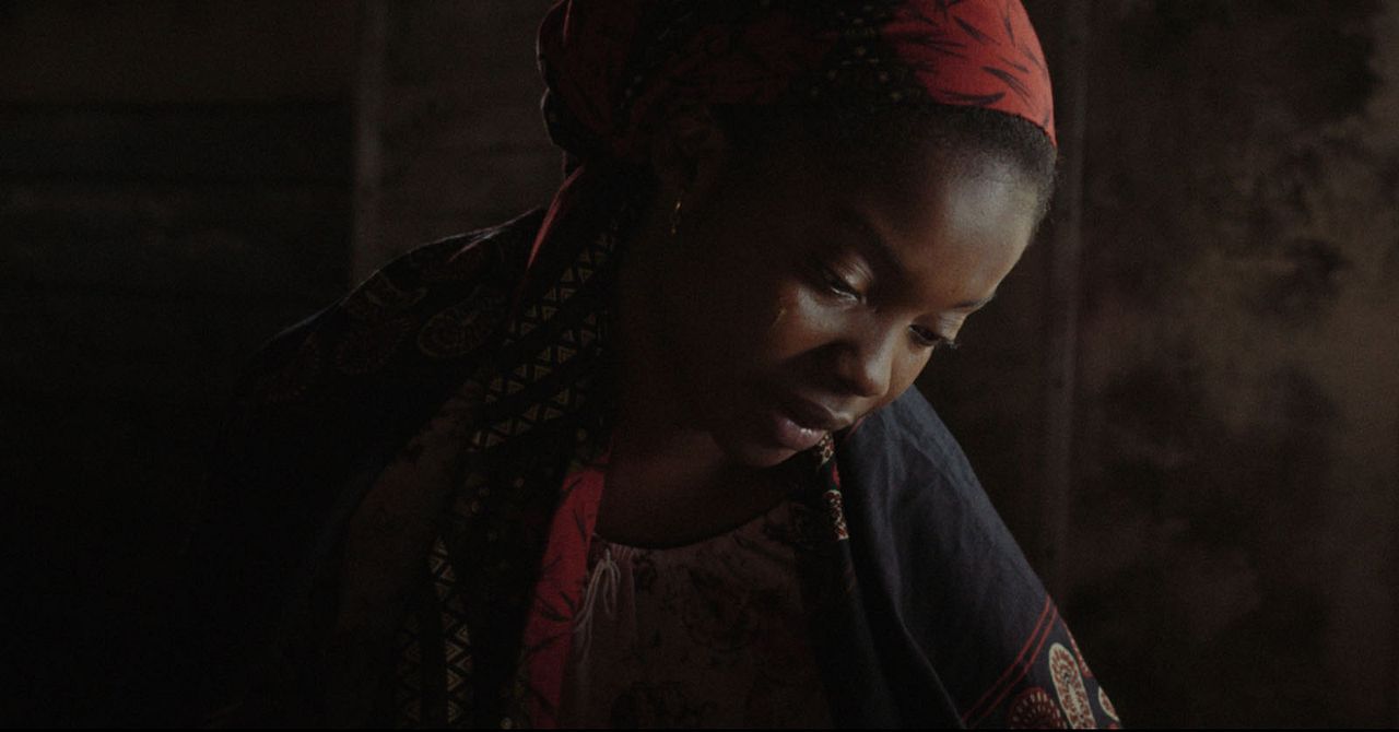 Comboio de Sal e Açúcar : Foto