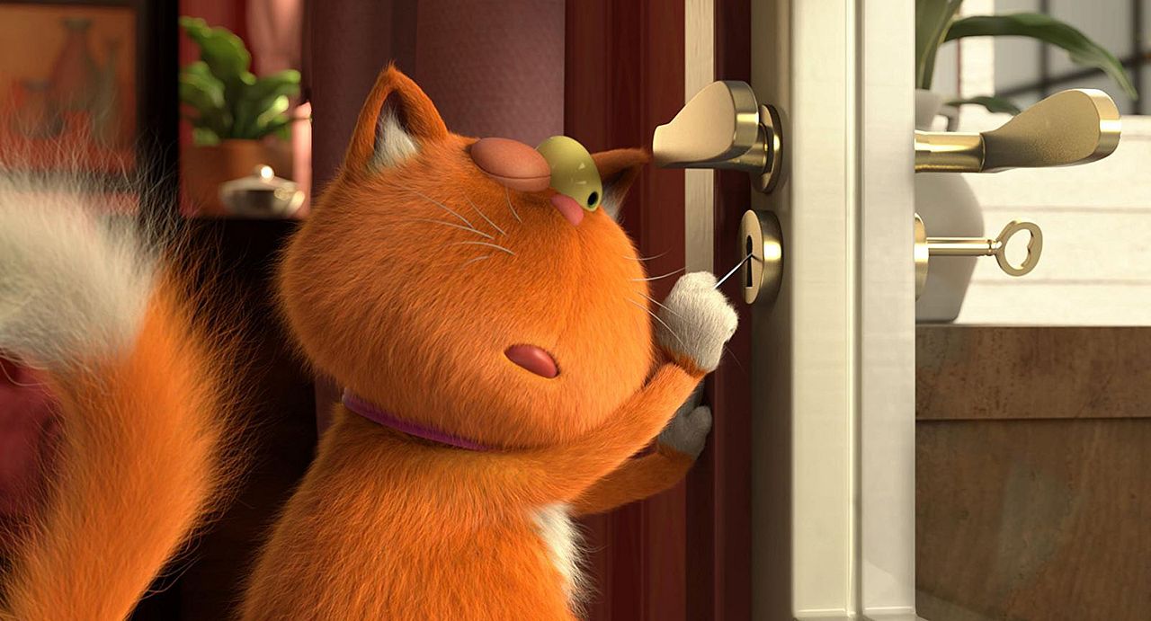 Agente 00 - gato : Foto