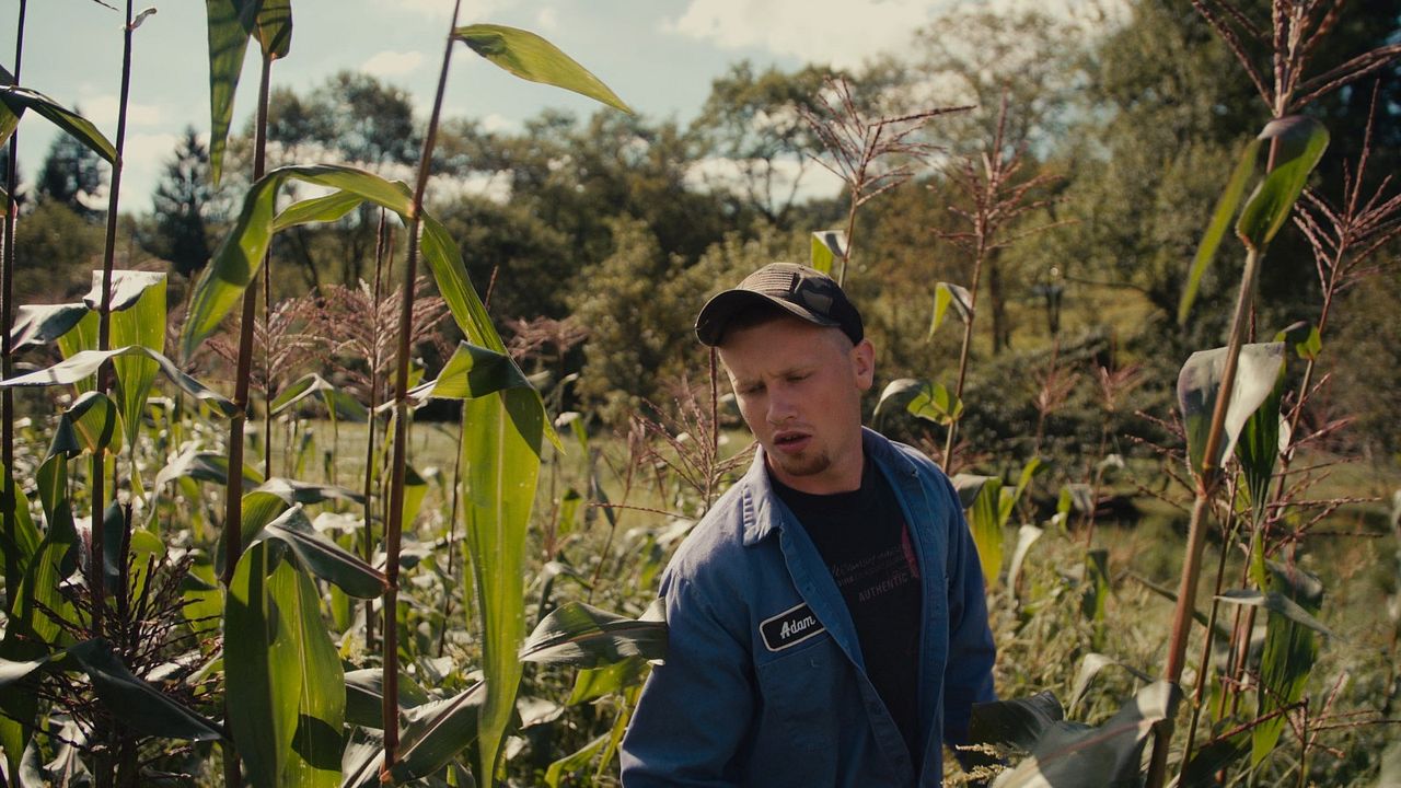 Recovery Boys: rehabilitación y fraternidad : Foto