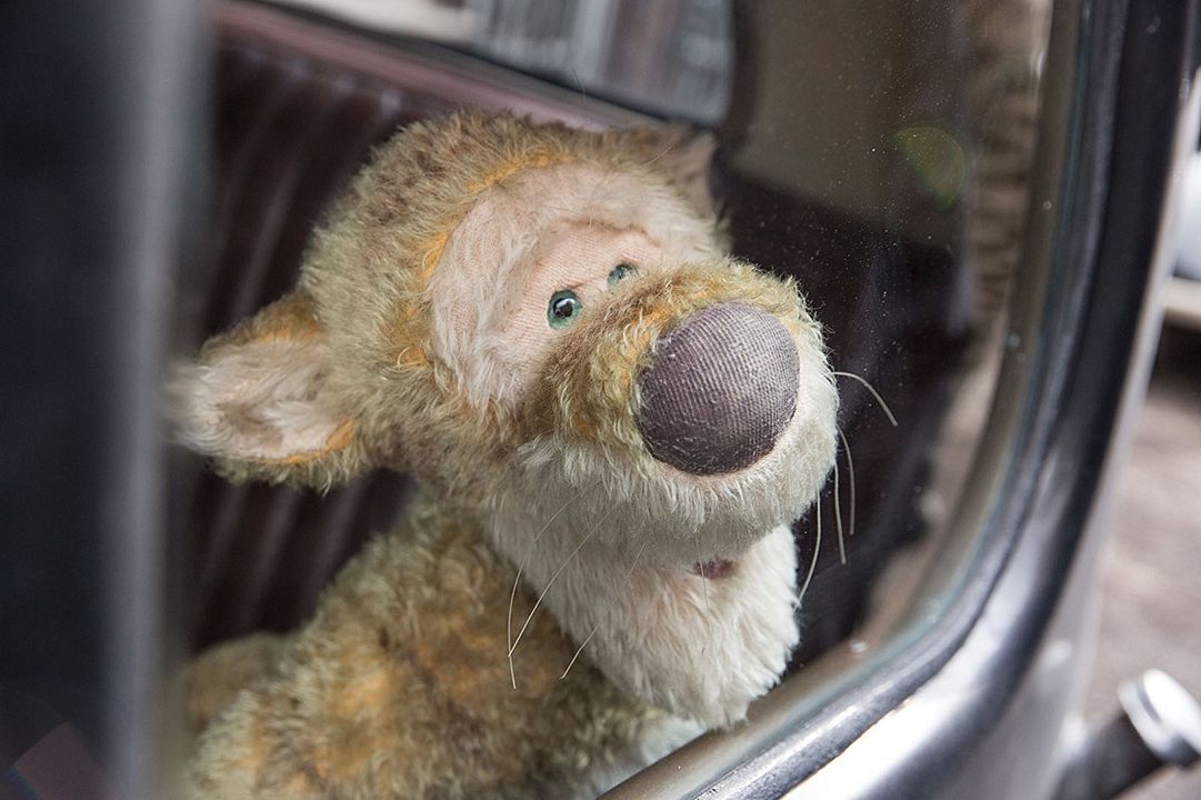 Christopher Robin: Un reencuentro inolvidable : Foto