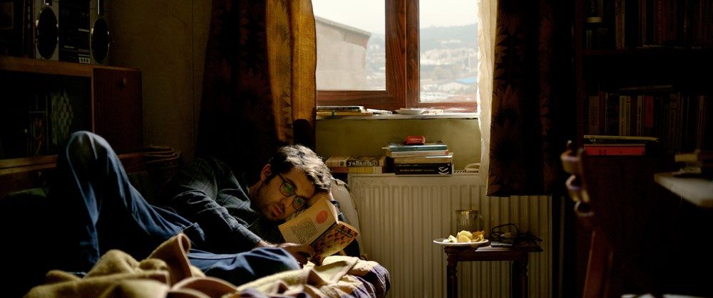 El peral silvestre : Foto