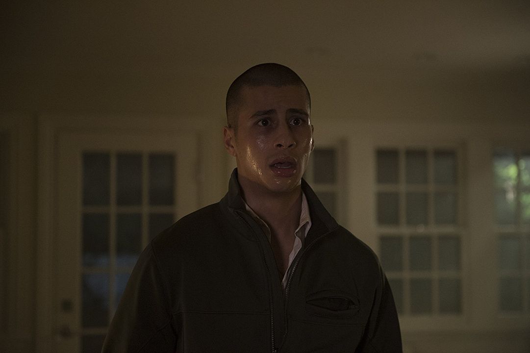 Latidos en la oscuridad : Foto