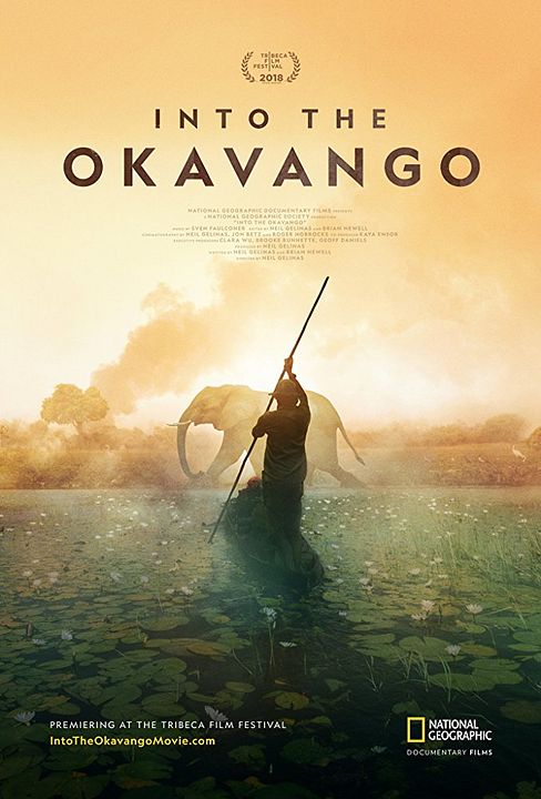 Into the Okavango : Póster