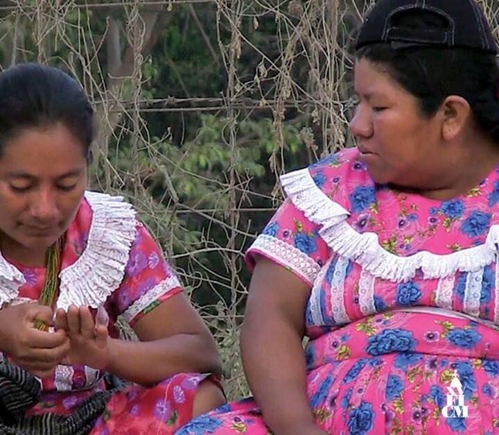 Siempre andamos caminando : Foto