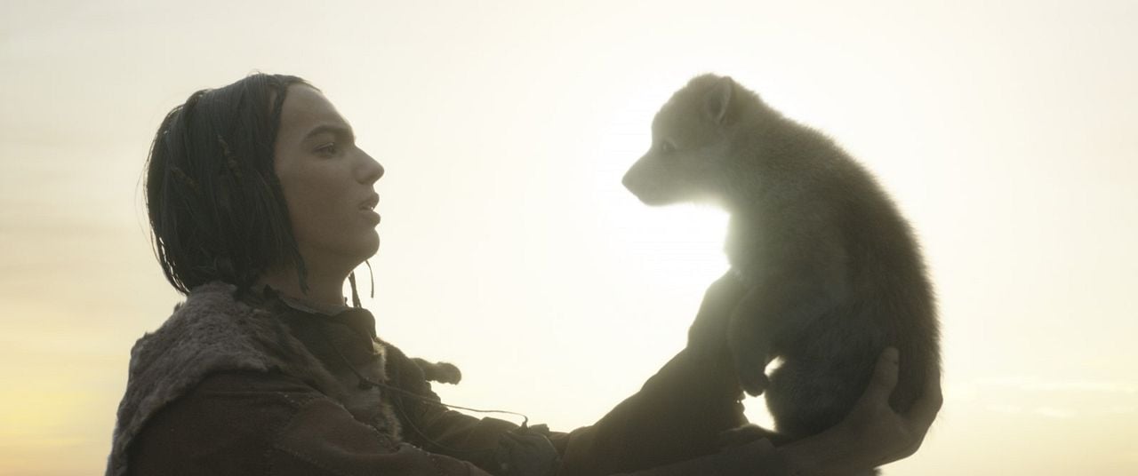 Alfa : Foto Kodi Smit-McPhee