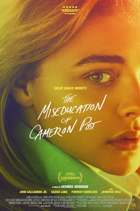 The Miseducation of Cameron Post : Póster