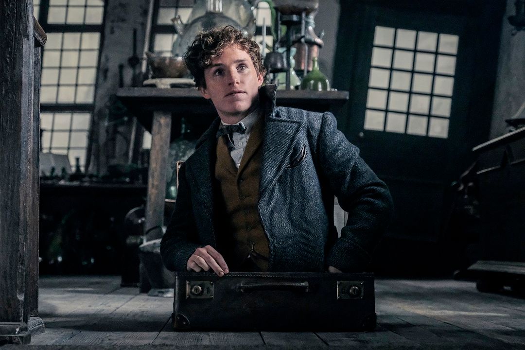 Animales fantásticos: Los crímenes de Grindelwald : Foto Eddie Redmayne