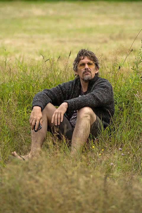 Amor de vinilo : Foto Ethan Hawke