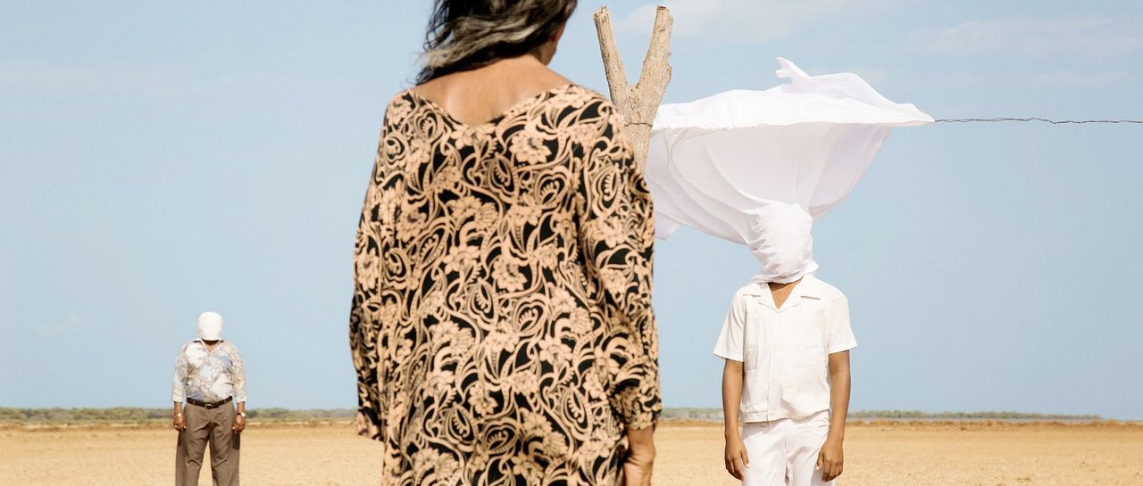 Pájaros de Verano : Foto