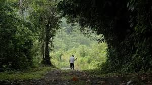 Nosotros las piedras : Foto
