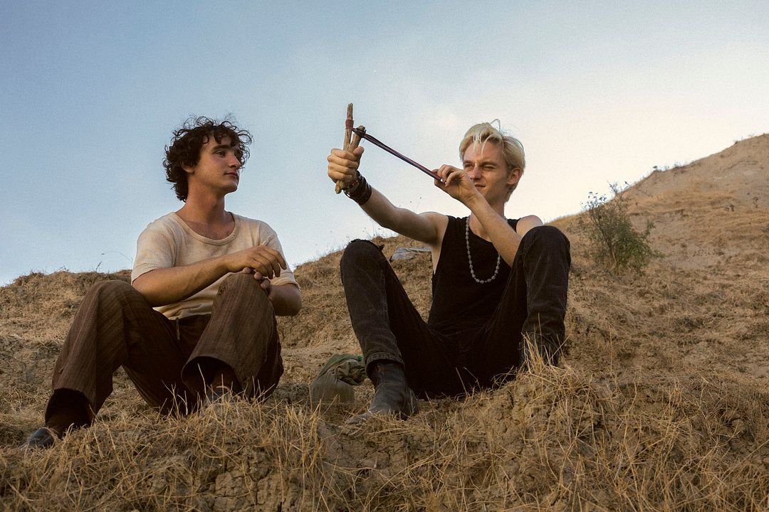 Lazzaro Felice : Foto