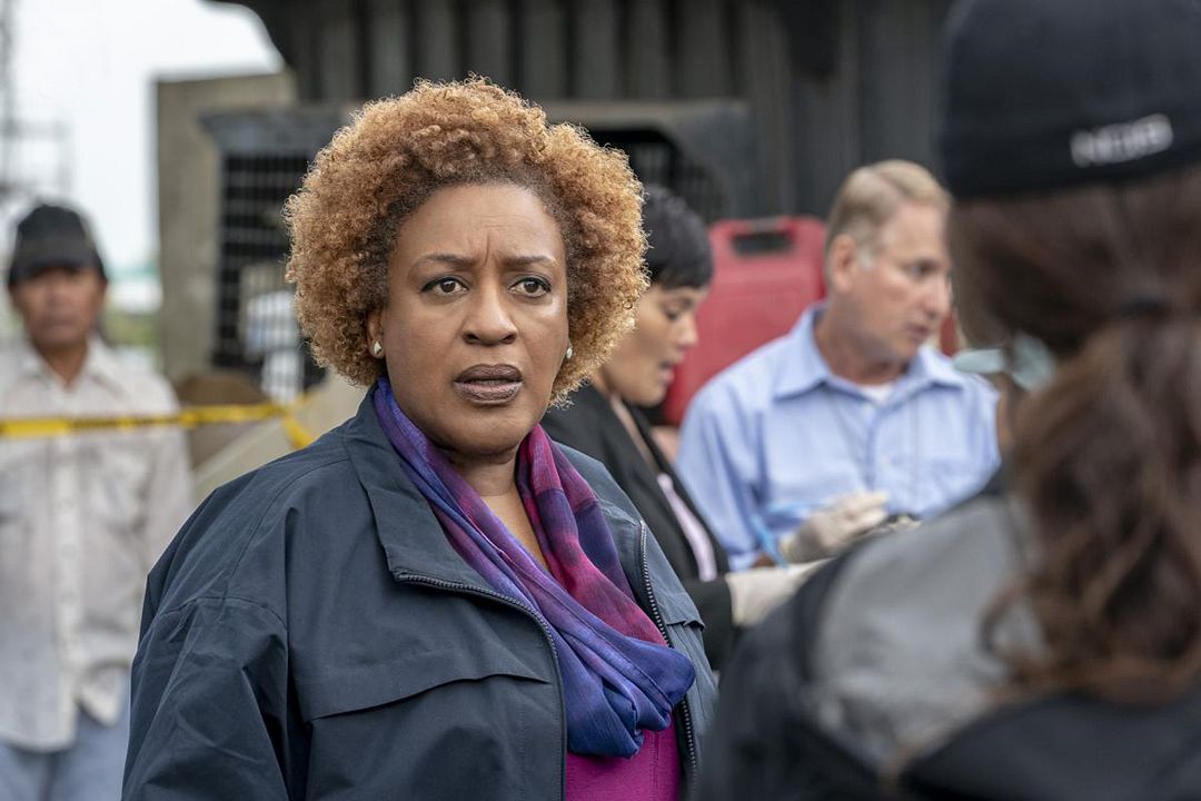 NCIS: Nueva Orleans : Foto CCH Pounder